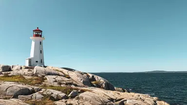 line background image